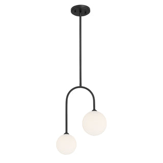 Chester 2-Light Pendant in Matte Black
