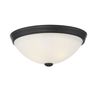 2-Light Ceiling Light in Matte Black