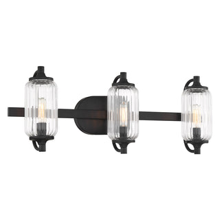 Holton 3-Light Bathroom Vanity Light in Matte Black