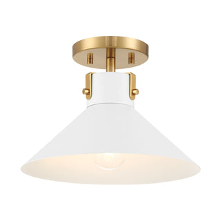 1-Light Ceiling Light in White and Natural Brass