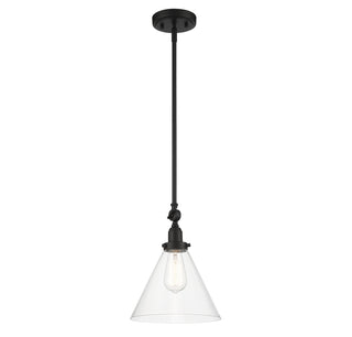 Drake 1-Light Pendant in Matte Black
