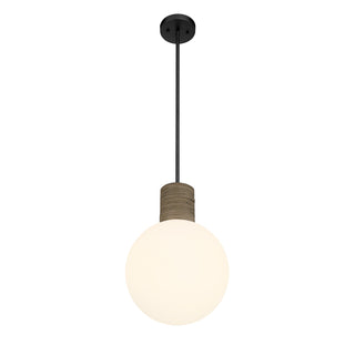 Jarrell 1-Light Pendant in Matte Black