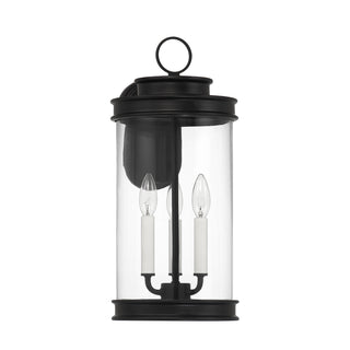 Englewood 3-Light Outdoor Wall Lantern in Matte Black