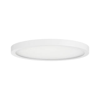 LED Flush Mount in White
