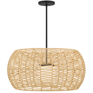 Aruba 32 Inch Outdoor / Indoor Pendant in Sand Black