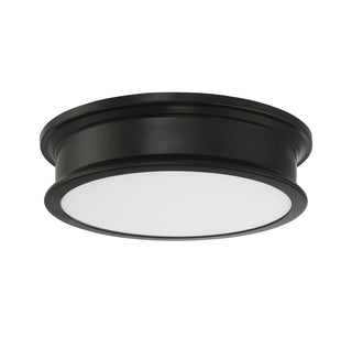 Watkins 3-Light Ceiling Light in Classice Bronze