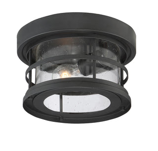 Barrett 1-Light Outdoor Ceiling Light in Black