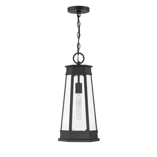 Payne 1-Light Outdoor Hanging Lantern in Matte Black