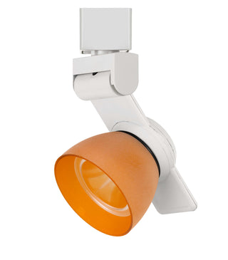 12W LED track fixture