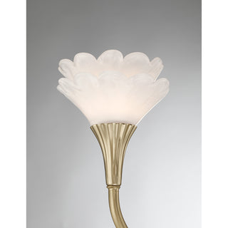 Florena 3-Light Bathroom Vanity Light in Noble Brass by Breegan Jane