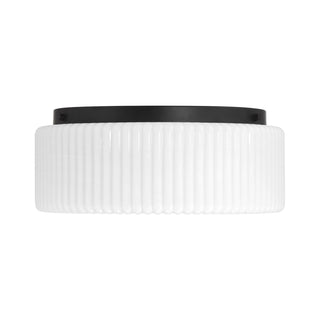 Edgemont 4-Light Ceiling Light in Matte Black