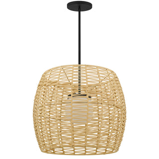 Aruba 24 Inch Outdoor / Indoor Pendant in Sand Black