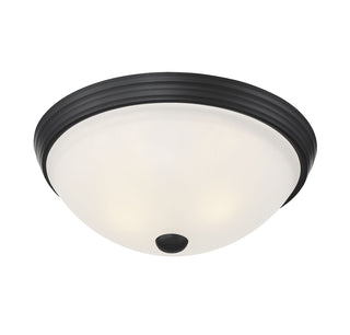 2-Light Ceiling Light in Matte Black
