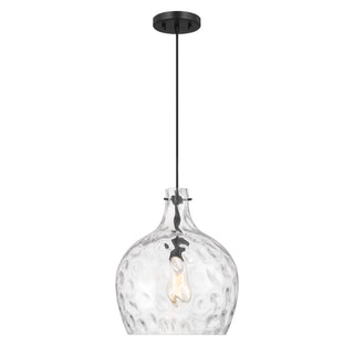 1-Light Pendant in Matte Black