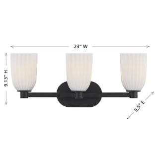 Baldwin 3-Light Bathroom Vanity Light in Matte Black
