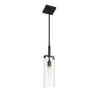 Winfield 1-Light Mini-Pendant in Matte Black