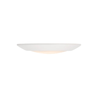 LED 5CCT Disc Light in White