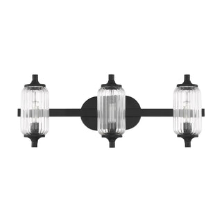 Holton 3-Light Bathroom Vanity Light in Matte Black