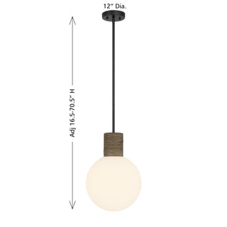 Jarrell 1-Light Pendant in Matte Black