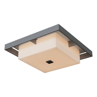 Shadow Box Large Outdoor Flush Mount