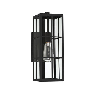 Ericson 1-Light Outdoor Wall Lantern in Matte Black