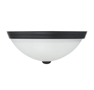 2-Light Ceiling Light in Matte Black