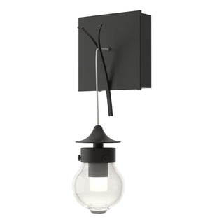 Kiwi Sconce