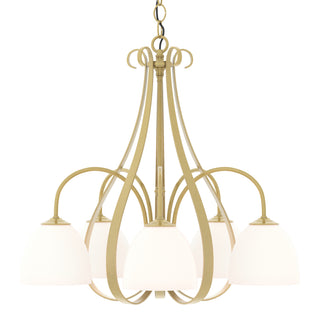 Sweeping Taper 5 Arm Chandelier