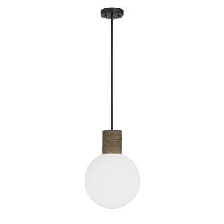 Jarrell 1-Light Pendant in Matte Black