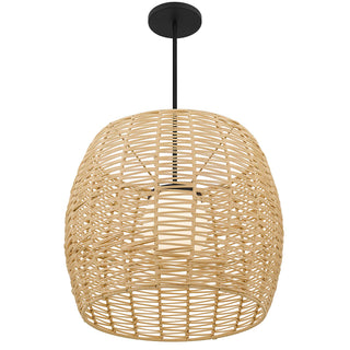 Aruba 24 Inch Outdoor / Indoor Pendant in Sand Black