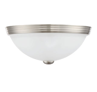 2-Light Ceiling Light in Satin Nickel