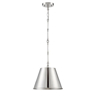 Alden 1-Light Pendant in Polished Nickel