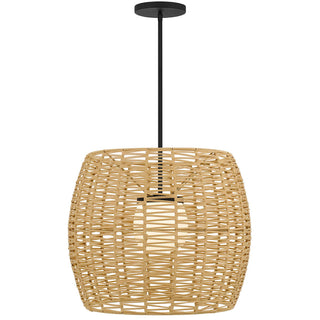 Aruba 24 Inch Outdoor / Indoor Pendant in Sand Black