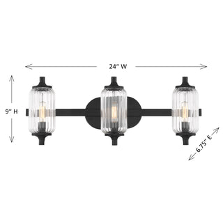Holton 3-Light Bathroom Vanity Light in Matte Black