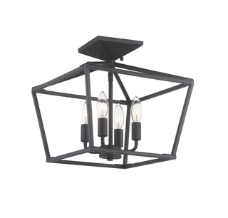 Townsend 4-Light Ceiling Light in Matte Black