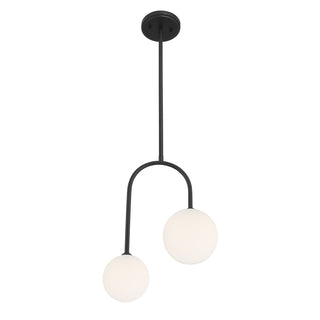 Chester 2-Light Pendant in Matte Black