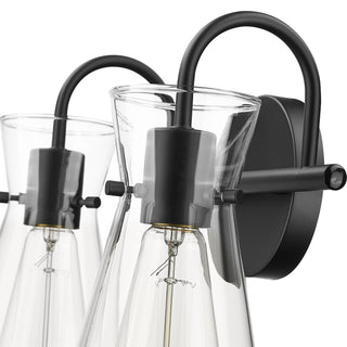 Camellia 2-Light Vanity Matte Black