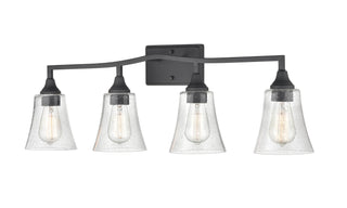 Caily 4-Light Vanity Matte Black