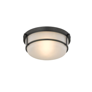 Arlson 2-Light Flushmount Ceiling Light Matte Black