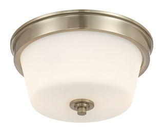 Strayhan 13" Wide 2-Light Flush Mount