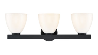 Apria 24" Wide 3-Light Vanity - Matte Black
