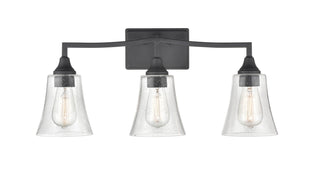 Caily 3-Light Vanity Matte Black