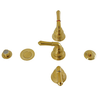 Magellan Bidet Faucet in Brushed Brass