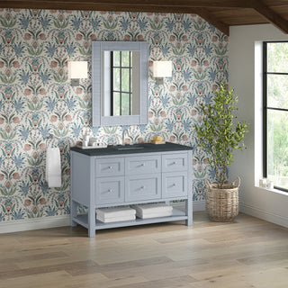 48 Inch Breckenridge Freestanding Vanity in Serenity Blue / Charcoal Soapstone Top