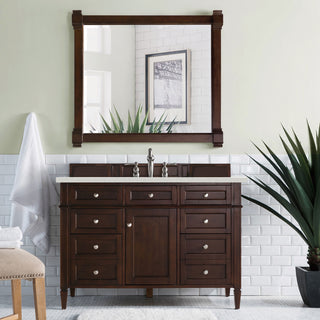 48 Inch Brittany Freestanding Vanity in Burnished Mahogany / Lime Delight Top