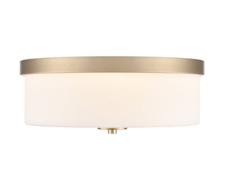 Laphia 13.25" Wide 2-Light Flushmount - Modern Gold