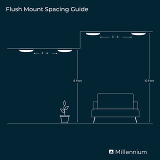2-Light Flushmount Ceiling Light Chrome