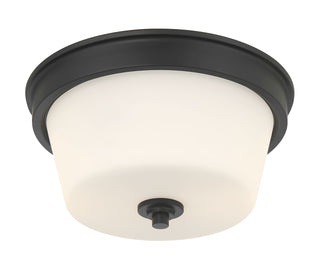 Strayhan 13" Wide 2-Light Flush Mount