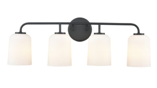 Laphia 28" Wide 4-Light Vanity - Matte Black