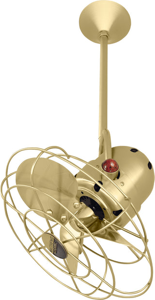 Bianca Direcional 13" Ceiling Fan in Brushed Brass